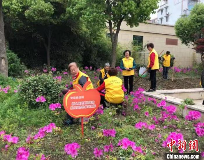 北濠东村社区居民志愿者把一块荒芜地打理成小花园。 北濠东村社区供图