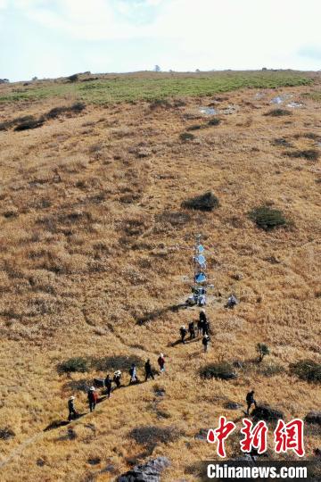 图为在武夷山国家公园黄岗山顶，科考人员走过中山草甸前往碳通量塔考察并收集监测数据。　黄海 摄