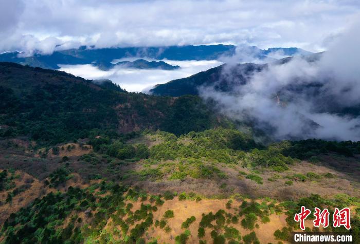 图为武夷山国家公园一景。　黄海 摄