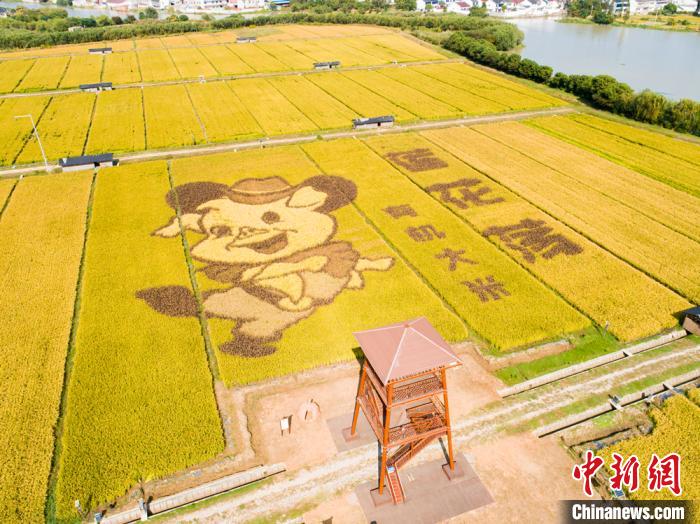 莲花荡如今成为宜兴及周边城市的“网红”打卡地。丁蜀镇供图