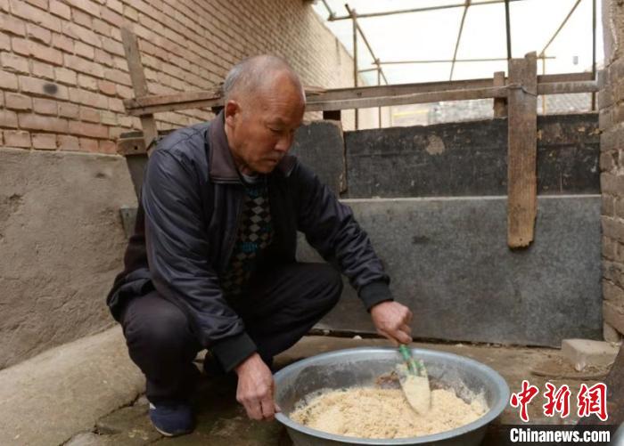 牛计只正在准备饲料。　赵彦杰 摄