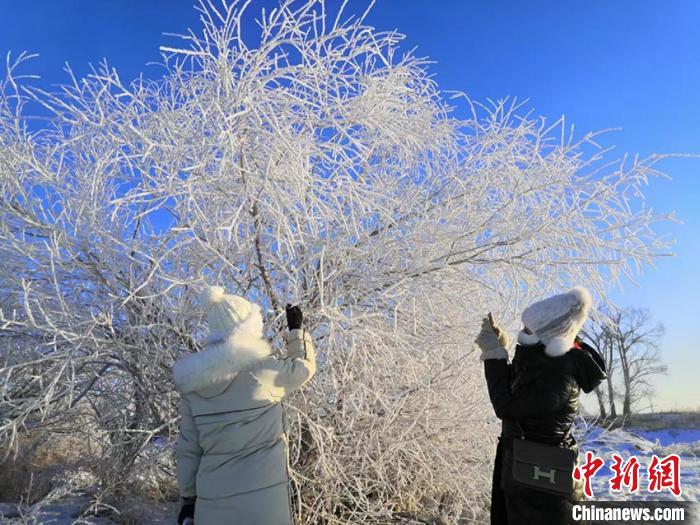 游客纷纷驻足与雾凇合影 张爱群供图