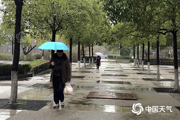 昨天上午，湖南湘潭雨水“在线”。(图/张美丽)