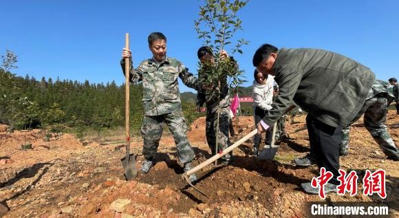 余永庚(右)40年参加义务植树活动，从未缺席。　张国友 摄