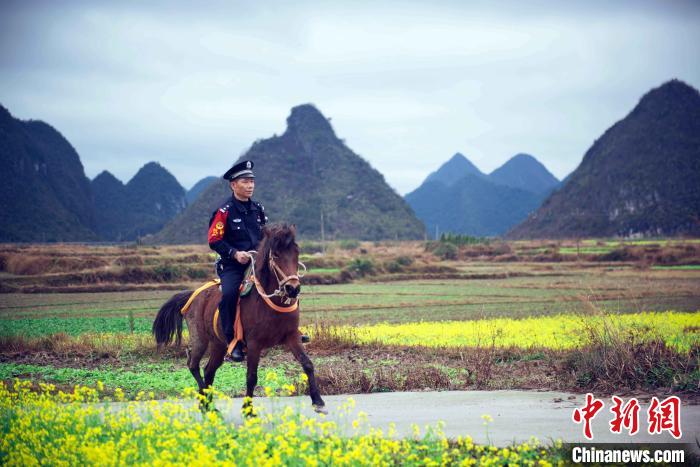 李军从朱春义家借来马前往巡查点。　胡玄德 摄