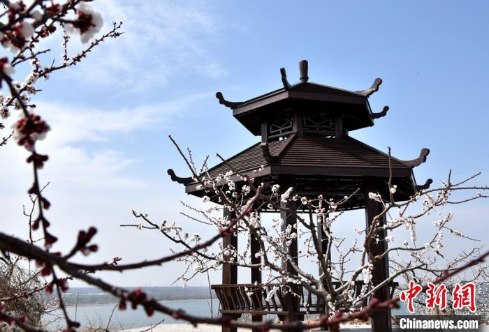 站在猫山之巅新建的观景亭，能环顾一周俯瞰十里杏花村、万亩吕梁湖。　朱志庚 摄