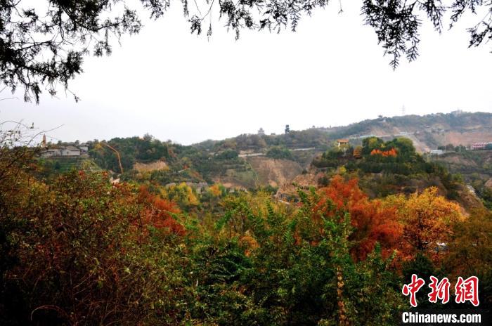 图为兰州市南北两山绿化林一隅的秋景，色彩斑斓。(资料图)兰州市南北两山环境绿化工程指挥部供图