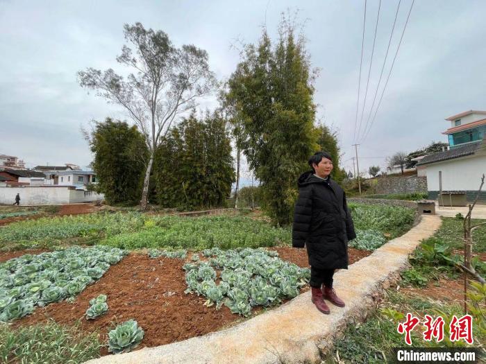 图为李国秀站在自己用双脚种植的蚕豆、莲花白前。　缪超 摄