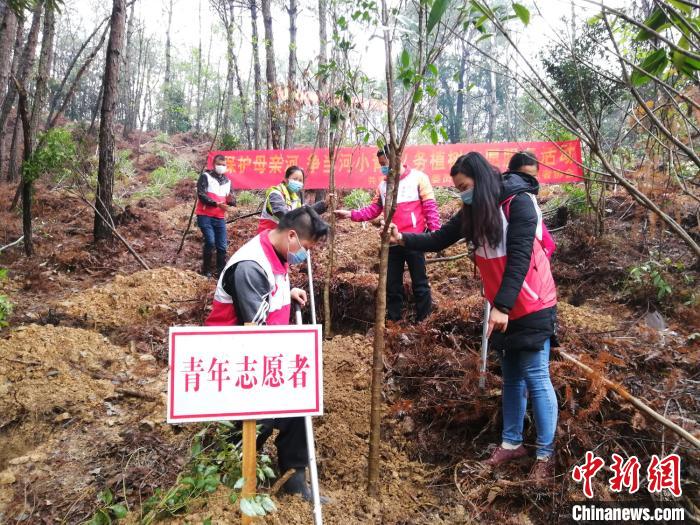 青年志愿者参与植树活动。广东省林业局 供图