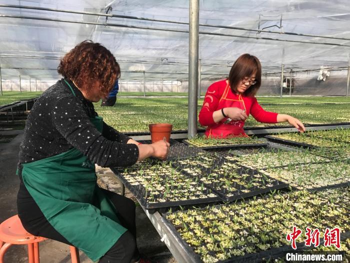 春耕时节，长子县各地陆续展开农业生产活动。长子县融媒体中心提供