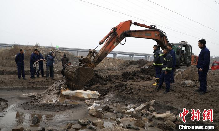 山西省晋中市和顺消防救援大队消防员“救牛”，重约800斤母牛身陷淤泥池。晋中市和顺消防救援大队供图