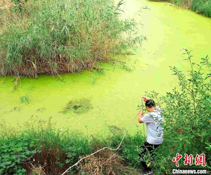 资料图：山东省生态环境厅排查出的农村黑臭水体。　供图 摄