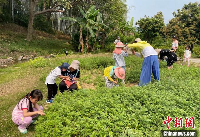 市民在广州郊外游玩 广州市文化广电旅游局 供图 摄