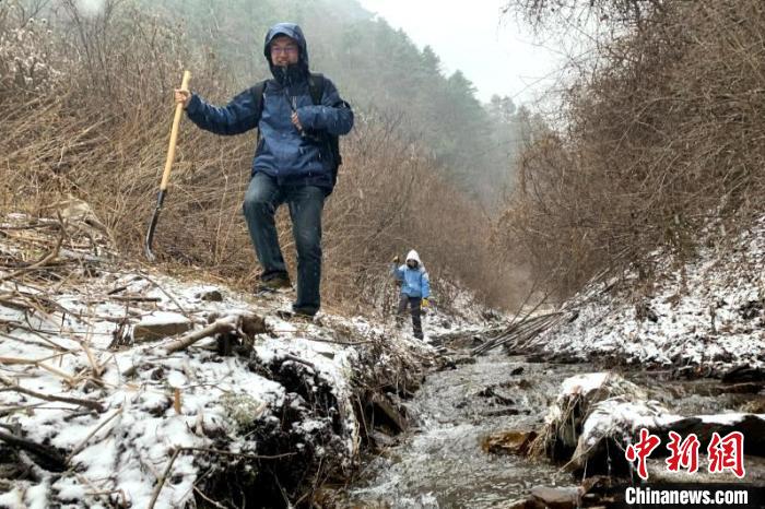 恶劣天气下，调查组成员“蹚”过山林。六盘山林业局供图 六盘山林业局供图 摄