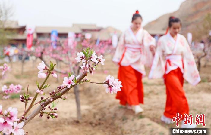 图为兰州市安宁区仁寿山景区内桃花盛开枝头。　高展 摄