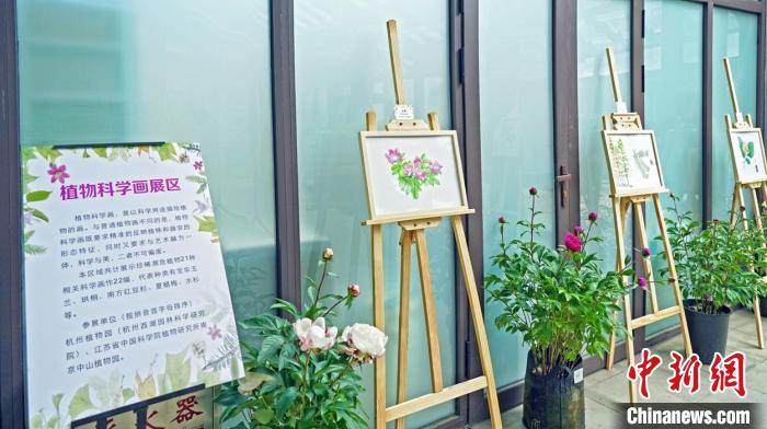 22幅珍稀濒危植物科学画作展出。上海植物园供图