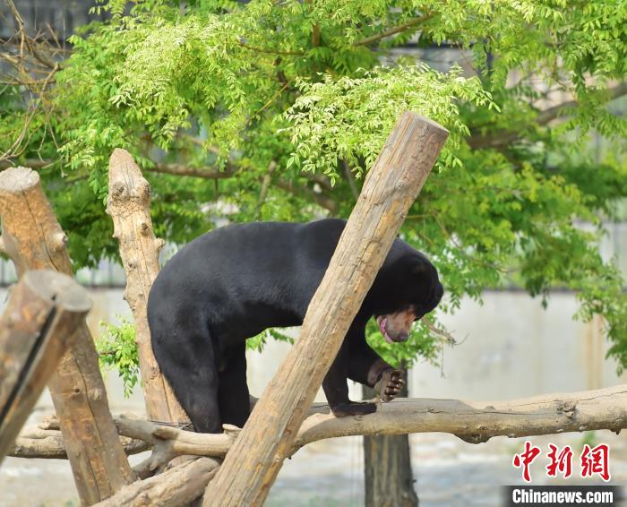 本地游持续走热 翟羽佳 摄