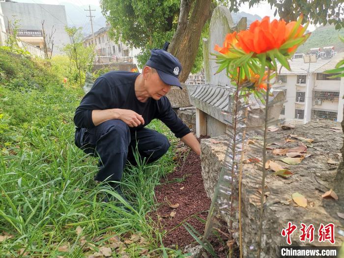 徐忠继坚持为潘兆麟烈士护墓 袁裕树 摄