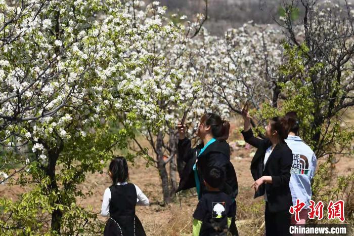 游客漫步花海中踏青春游，赏花拍照。　武俊杰 摄