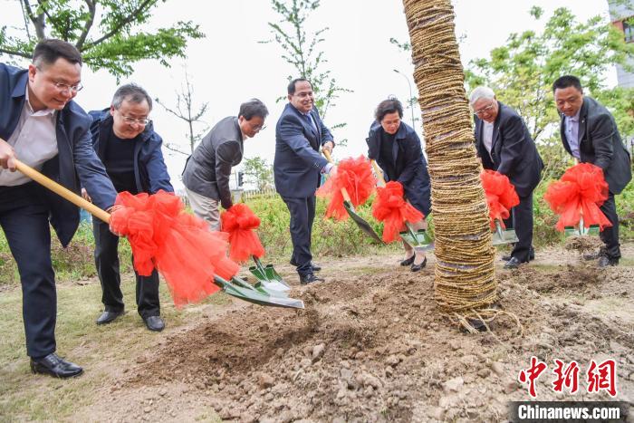 爱德华在上海参加世界地球日活动。以色列驻上海总领事馆供图 以色列驻上海总领事馆供图 摄