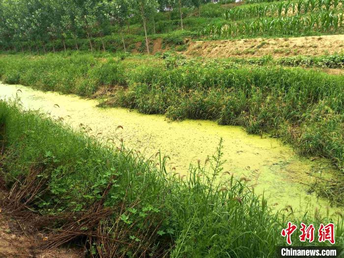 资料图：山东省生态环境厅排查出的农村黑臭水体。　供图 摄