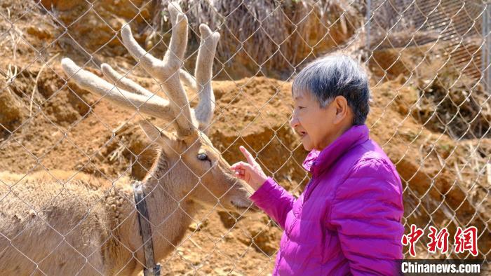 力丽女士到访福州樟洋村麋鹿园。　受访者供图 摄