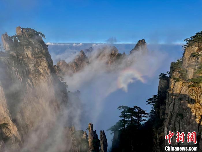 4月5日，黄山云雾之间形成的绚烂光晕景观 徐敬萍 摄