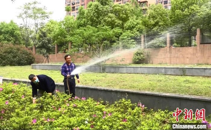 校园工作人员用海绵城市雨水收集灌溉系统浇灌校园的草植。　郑子颜 摄