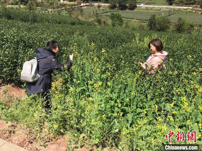 武夷山燕子窠成网红打卡点。(资料图片) 张丽君 摄