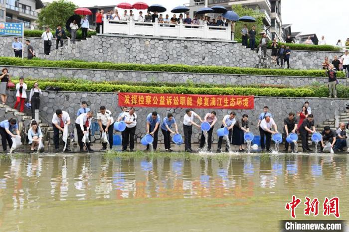 图为鱼苗在漓江放流活动现场 林浩 摄