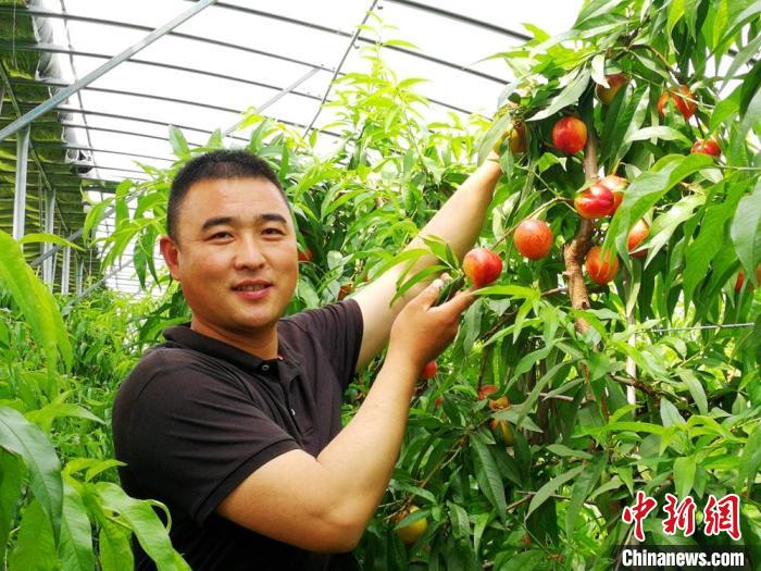 80后返乡能人盛思坤创办特色果蔬种植家庭农场。　朱志庚 摄