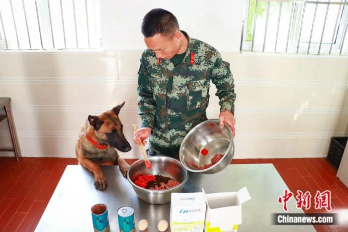 图为训导员给军犬准备食物。武警贵州总队机动支队供图