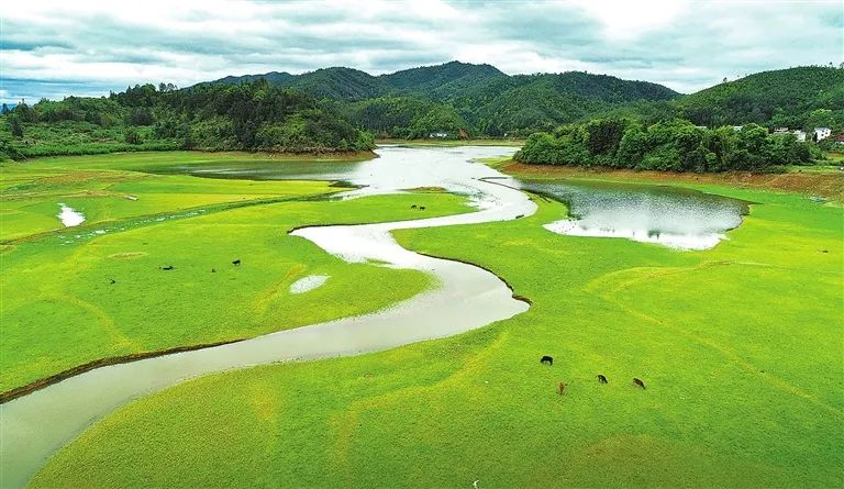 《溼地之春》(楊心俊 攝於上猶縣水巖鄉)