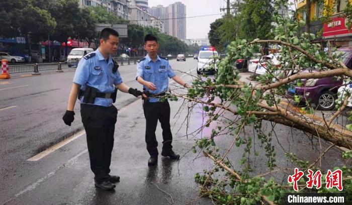 巡逻民警清理倒伏的树木。乐山公安供图 