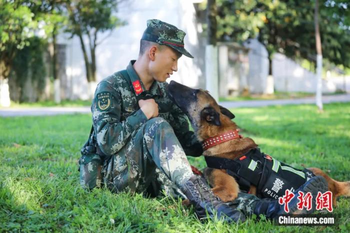 图为训导员与军犬亲密无间，犹如战友。武警贵州总队机动支队供图