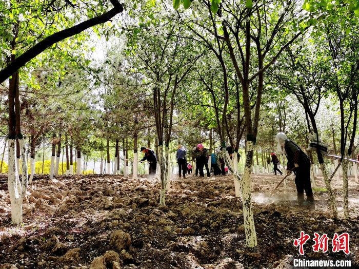 图为西宁北山美丽园内工作人员补种花卉。　张添福 摄