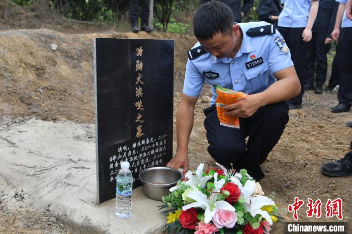 图为民警祭奠昔日“战友”警犬“滨哒”。　刘冉阳 摄