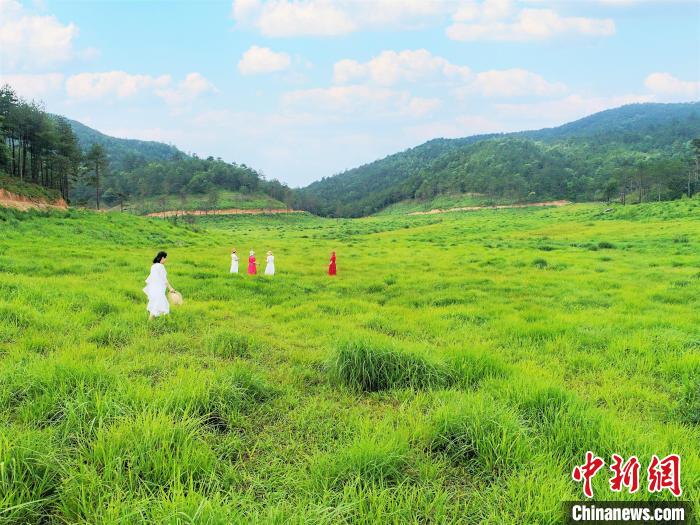 图为仙山牧场，被誉为“北方少有、南方仅有”的高山牧场。　张璘琳 摄