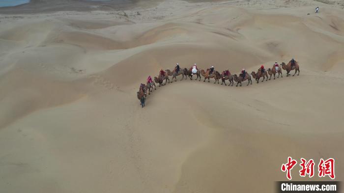 在位于新疆塔克拉玛干沙漠腹地的新疆尉犁县，特色沙漠旅游成为许多游客的首选之地。　鲁红光 摄