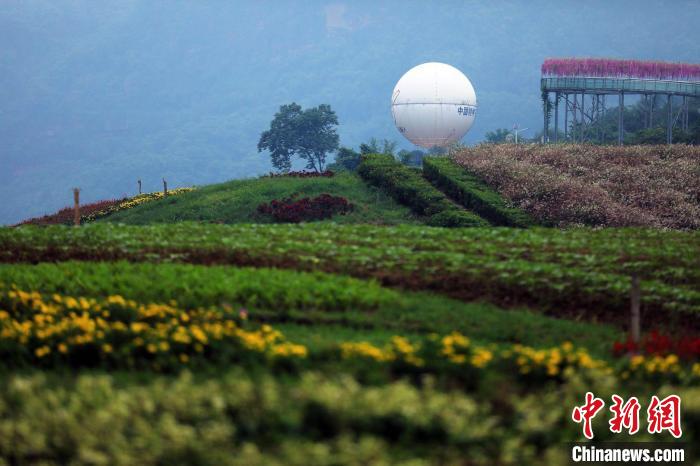 泸州市纳溪区花田酒地景区。　王磊 摄