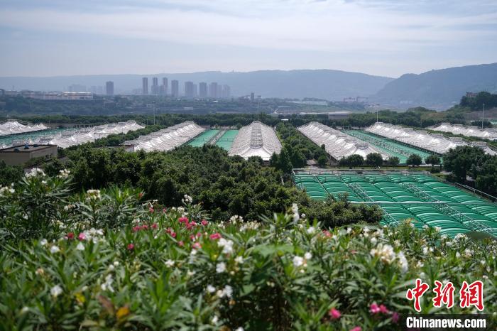 俯瞰重庆鸡冠石污水处理厂。　何蓬磊 摄