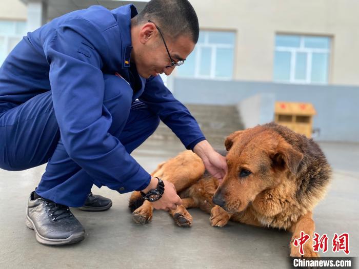 图为指战员们正在与呆瓜互动。　张玮 摄