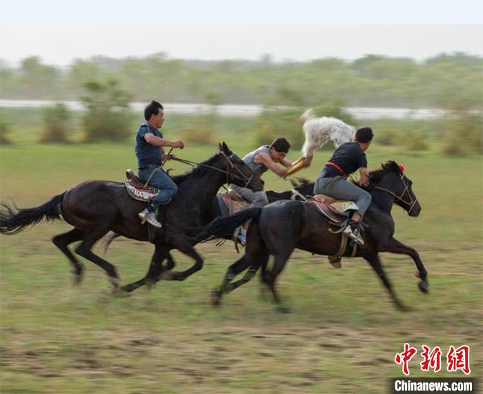 激烈的叼羊比赛现场。　买买提艾力 摄