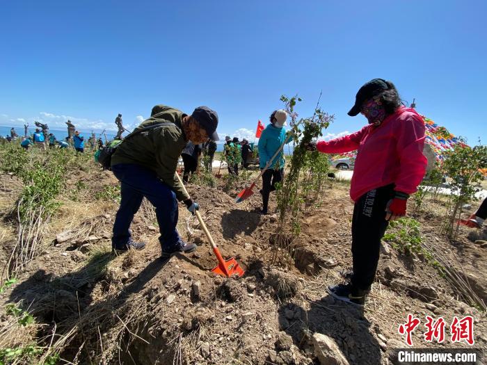 图为志愿者正在植树。　李江宁 摄