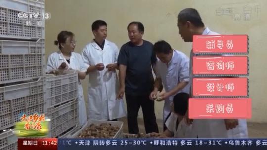 助老乡致富 为农产品代言……这个食用菌“特派天团”C位出道！