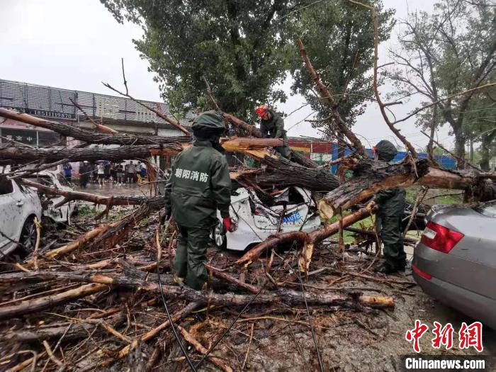 图为朝阳消防对现场枯树进行分解处置。　北京朝阳消防供图