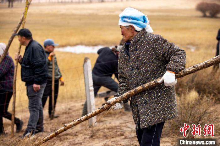 图为当地民众正在进行义务植树。　牧区大寨博物馆 供图