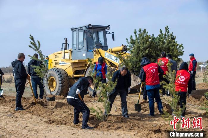 图为当地牧民正在进行义务植树。　牧区大寨博物馆 供图