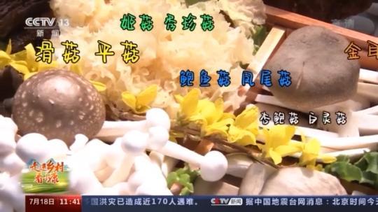 助老乡致富 为农产品代言……这个食用菌“特派天团”C位出道！