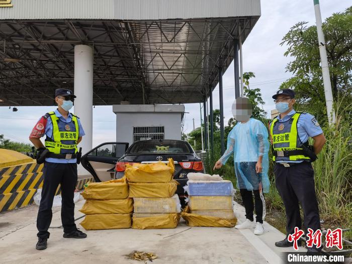 图为司机对眼镜蛇进行指认。　饶友江 摄